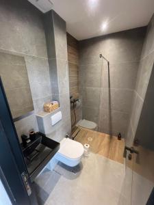 un baño con inodoro y ducha en Kucica na Brdu, en Brda