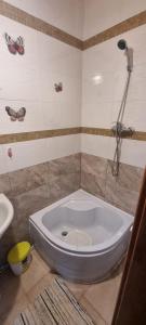 a large tub in a bathroom with a shower at Cabana Picior de munte in Birt