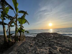 a sun setting on the beach with a plant at Appartement dans villa in Hdîd