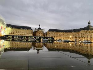ein großes Gebäude mit einer Reflexion im Wasser in der Unterkunft Appartement rénové place du Palais avec parking in Bordeaux