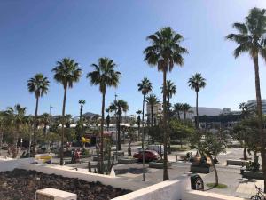 Naturlandskabet i nærheden af lejligheden