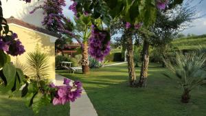 Zahrada ubytování B&B "Corte San Tomaso"