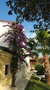 Zahrada ubytování B&B "Corte San Tomaso"