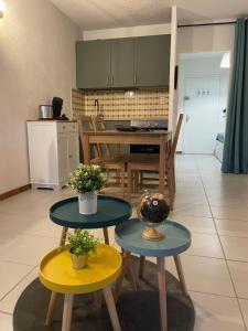Kuchyň nebo kuchyňský kout v ubytování Charmant appartement cosy, terrasse proche des pistes et du centre du village - WIFI gratuit