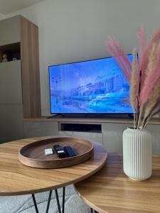TV a/nebo společenská místnost v ubytování Le cocon Parking privé Centre ville Gare