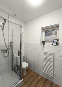 a bathroom with a toilet and a glass shower at Stara oficyna in Siedlce +8 photos