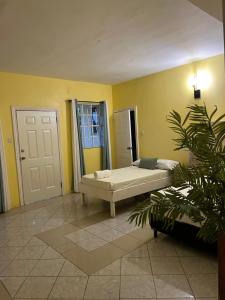 Fotografie z fotogalerie ubytování Secret Haven v destinaci Gros Islet