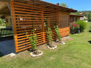 Jardí fora de Apartmani D&S