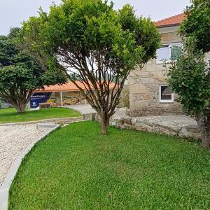 a tree in a yard next to a house at Albergue Ultreya in Esposende