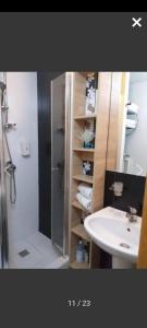 a bathroom with a shower and a sink and a shower at Apartmani Iva Kop Konaci in Kopaonik +7 photos