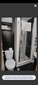a bathroom with a shower and a toilet and a sink at Apartmani Iva Kop Konaci in Kopaonik
