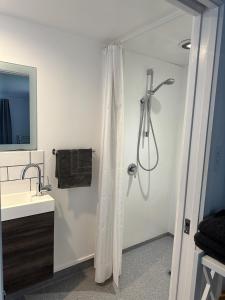 a bathroom with a shower and a sink at Green Valley Cabin in Hamilton