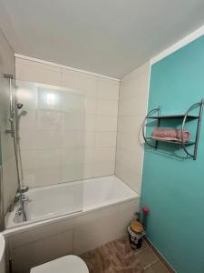 Un baño con ducha, inodoro y bañera. en Maghy Appart à Strasbourg, en Estrasburgo 11 fotos más