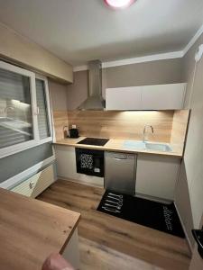 Una pequeña cocina con fregadero y estufa. en Maghy Appart à Strasbourg, en Estrasburgo