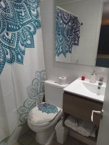 een badkamer met toilet en wastafel bij Acogedor home studio in Santiago +4 foto's