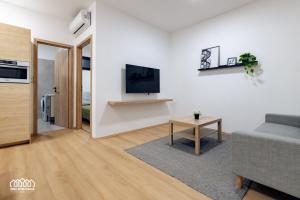 A television and/or entertainment centre at BORG Apartmanok