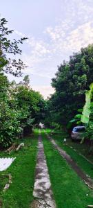 a dirt road with trees and a car parked on the side at Flor de Jabuticabeira in Jaguariúna +5 photos