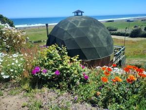 Naturlandskabet i nærheden af feriehuset