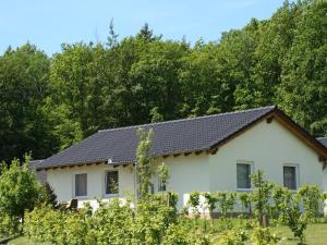 Κήπος έξω από το Bungalow in Eifel near Mountain Trails +28 φωτογραφίες