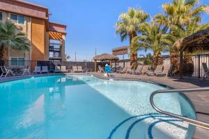 a large swimming pool with chairs and palm trees at Best Western McCarran Inn in Las Vegas