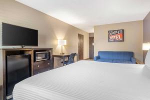a hotel room with a bed and a tv at Best Western McCarran Inn in Las Vegas