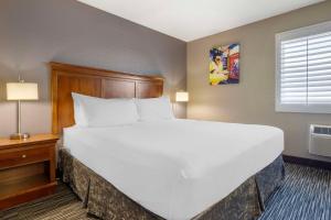 a large white bed in a room with a window at Best Western McCarran Inn in Las Vegas