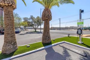 two palm trees on a street with a parking meter at Best Western McCarran Inn in Las Vegas