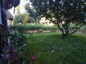 The Foxy Nests of Karibuni - Villa 184 & 145外面的花园