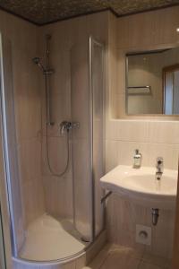 ein Bad mit einer Dusche und einem Waschbecken in der Unterkunft Müritz Landhotel Grüner Baum in Gotthun