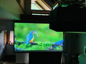 una pantalla de televisión con un pájaro azul en una rama en ネイチャーゲート軽井沢, en Kita-karuizawa