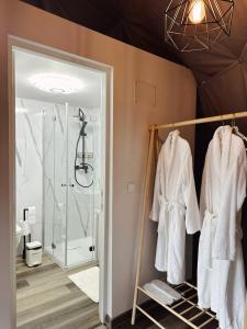 Ένα μπάνιο στο Green Garden Glamping Retezat