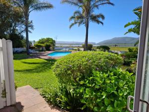 a view of a yard with a pool and palm trees at Point Lodge Knysna in Knysna