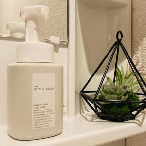 eine Flasche Seife und eine Pflanze auf einem Waschbecken im Badezimmer in der Unterkunft ぷらむならまち Momiji邸 in Nara