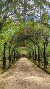 Φυσικό τοπίο κοντά σε αυτό το bed & breakfast