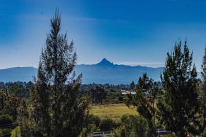 Phong cảnh thiên nhiên gần căn hộ