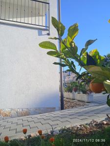 Zahrada ubytování Apartments Jela