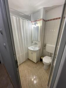 a small bathroom with a toilet and a sink at Studio Coanda in Craiova