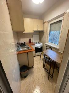 a small kitchen with a sink and a table at Studio Coanda in Craiova