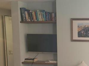 a tv on a wall with a shelf with books at Desert Rose in Midreshet Ben Gurion