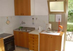 Kuchyň nebo kuchyňský kout v ubytování Apartments Olgi