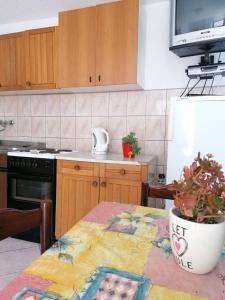 Kuchyň nebo kuchyňský kout v ubytování Apartments Olgi