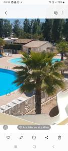 una foto de una palmera junto a una piscina en Mobil home azur 74, en Fréjus 7 fotos más
