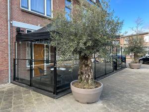 a tree in a large pot next to a building at Boutique Hotel Noordeinde in Rijnsburg
