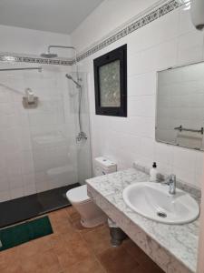 a bathroom with a sink and a toilet and a mirror at villa martha in Yaiza