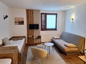 TV a/nebo společenská místnost v ubytování Apartman 109 Vila Nikola