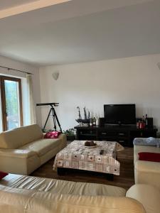 a living room with a couch and a coffee table at Casa di Panico in Buşteni