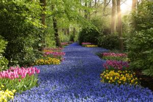 a path of flowers in a garden with trees at Bungalowverhuur 't Lappennest in Noordwijk