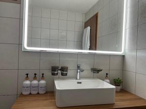 Koupelna v ubytování Apartment Allegra