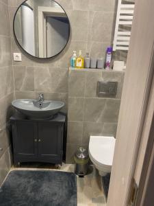 a bathroom with a sink and a mirror and a toilet at Centro apartments Rokiškis in Rokiškis