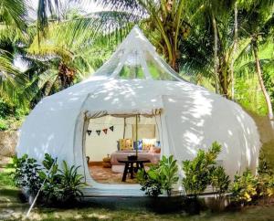 New BusuangaFiresky Glamping Ocam Ocam Beach的白色的伊瓜纳帐篷,配有沙发